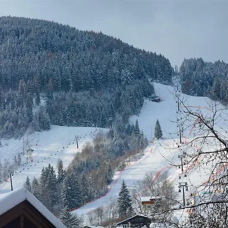 公寓 Spacious 2 Bedroom Zell-am-see Town Center 滨湖采尔